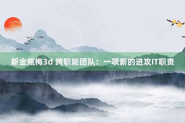 新金瓶梅3d 跨职能团队：一项新的进攻IT职责