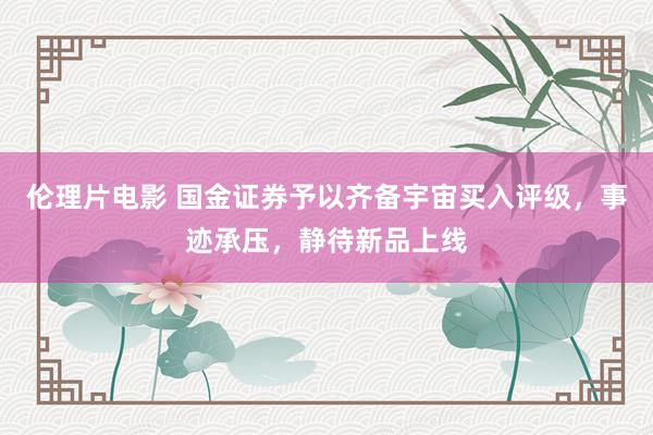 伦理片电影 国金证券予以齐备宇宙买入评级，事迹承压，静待新品上线