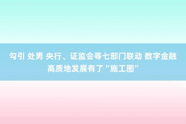 勾引 处男 央行、证监会等七部门联动 数字金融高质地发展有了“施工图”
