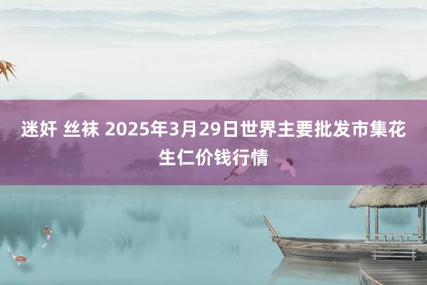 迷奸 丝袜 2025年3月29日世界主要批发市集花生仁价钱行情